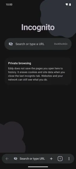 An incognito tab in Eddy